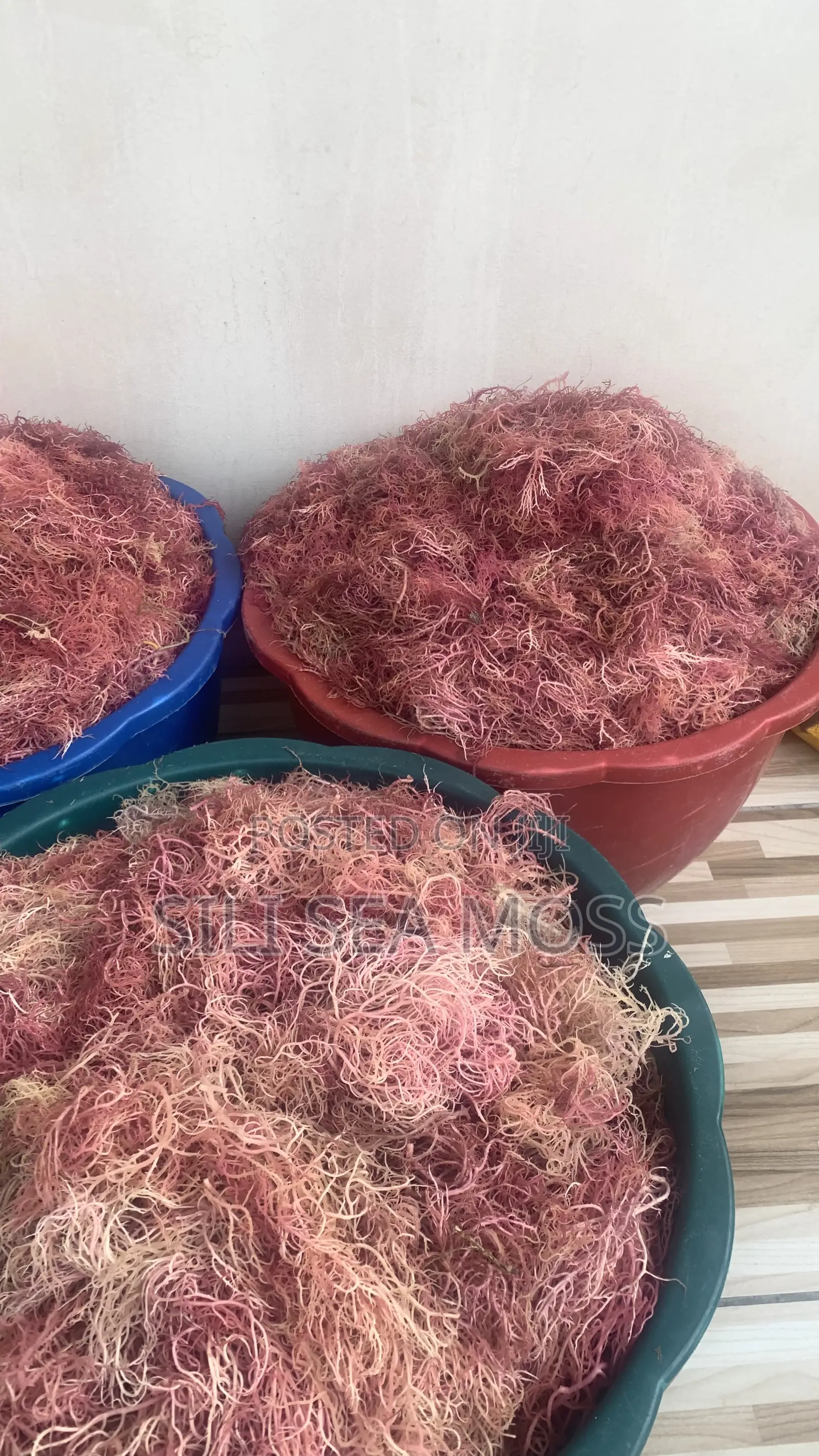 Wholesale Best Quality Raw-Sea Moss