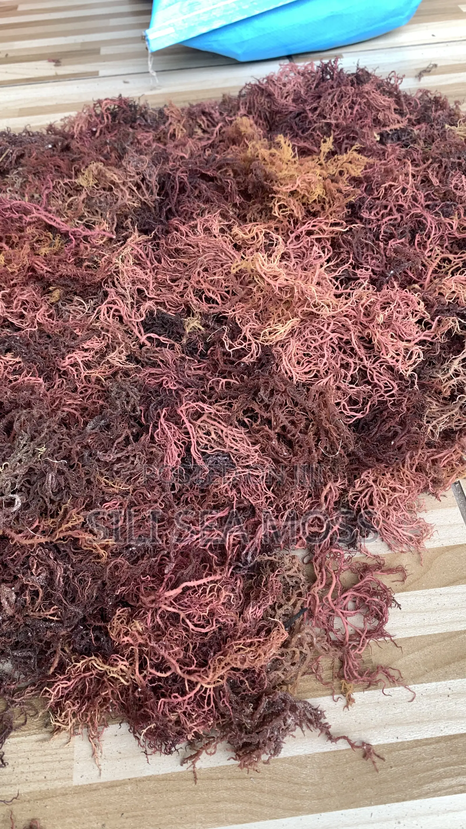 Wholesale Best Quality Raw-Sea Moss