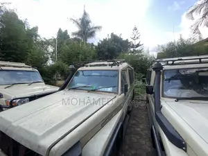 Toyota Land Cruiser 79 Series 1999 Beige