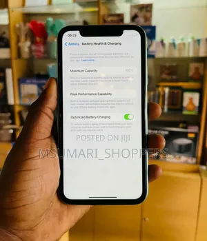 Apple iPhone 11 128 GB Green