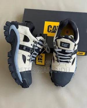 Brand Cat Shoes