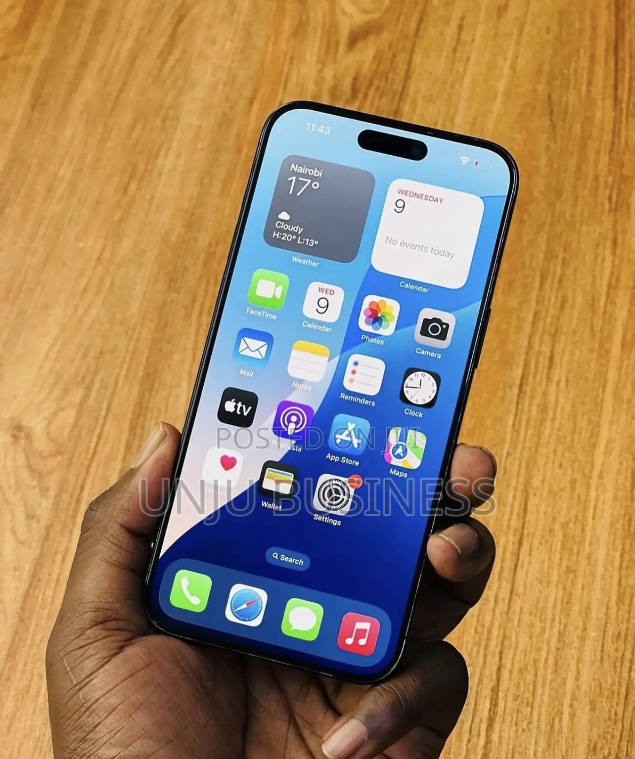 Apple iPhone 15 Pro Max 256 GB Gray