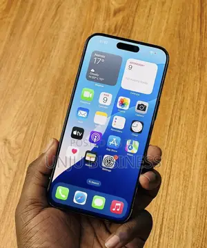 Apple iPhone 15 Pro Max 256 GB Gray