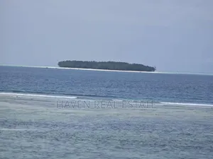 Beach Cliff for Sale at Zanzibar