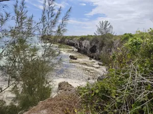 Beach Cliff for Sale at Zanzibar