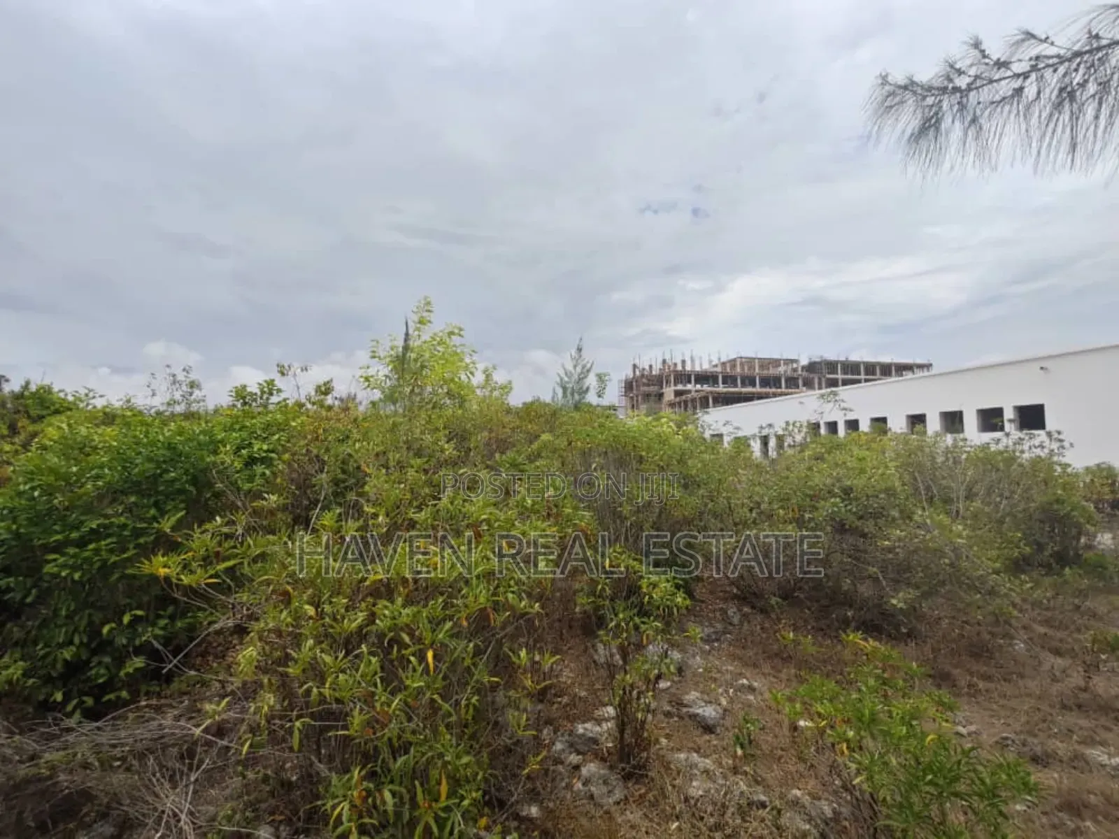 Beach Cliff for Sale at Zanzibar