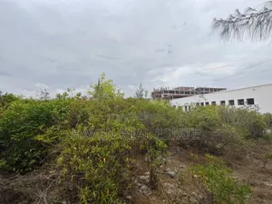 Beach Cliff for Sale at Zanzibar