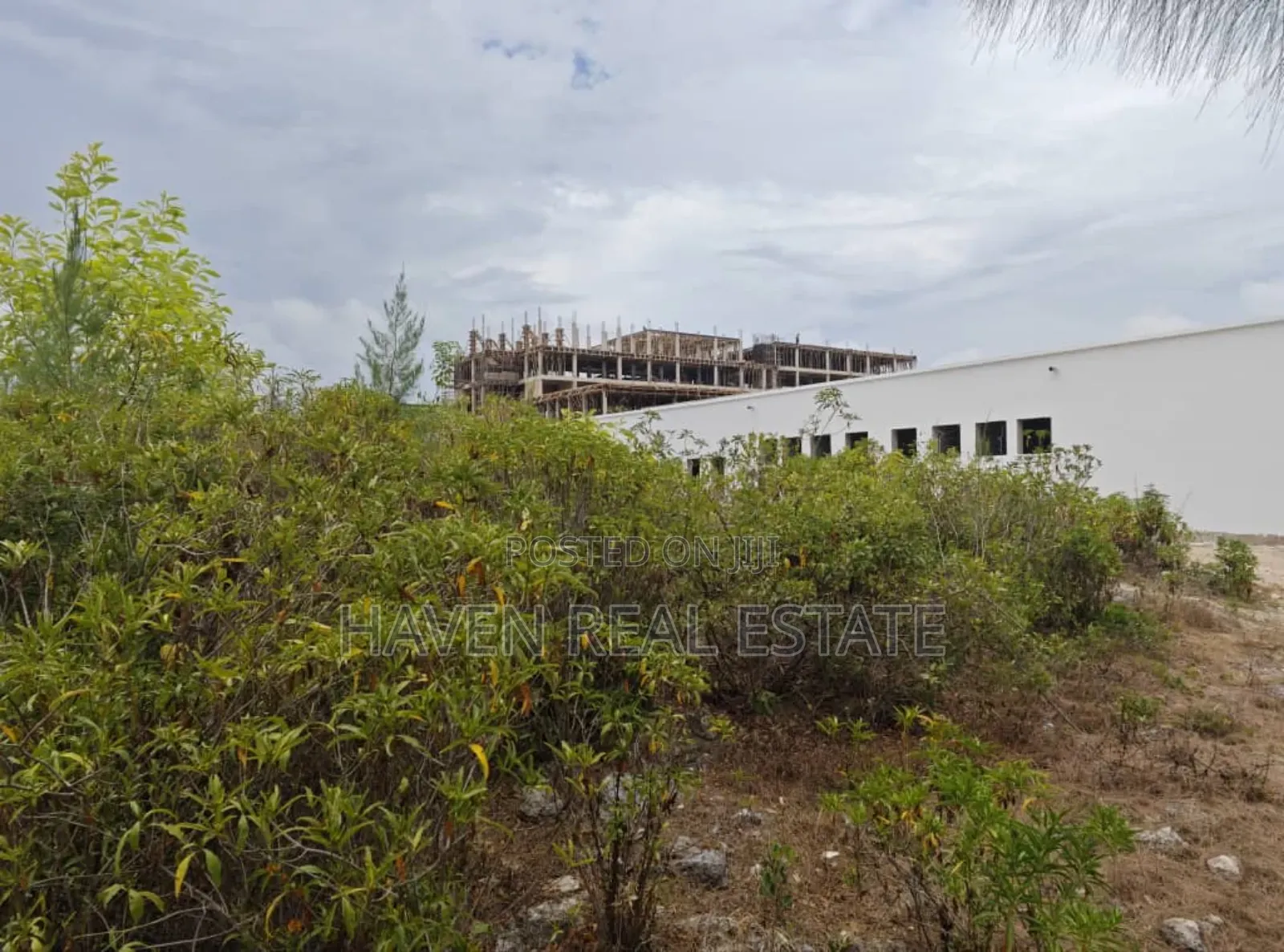 Beach Cliff for Sale at Zanzibar