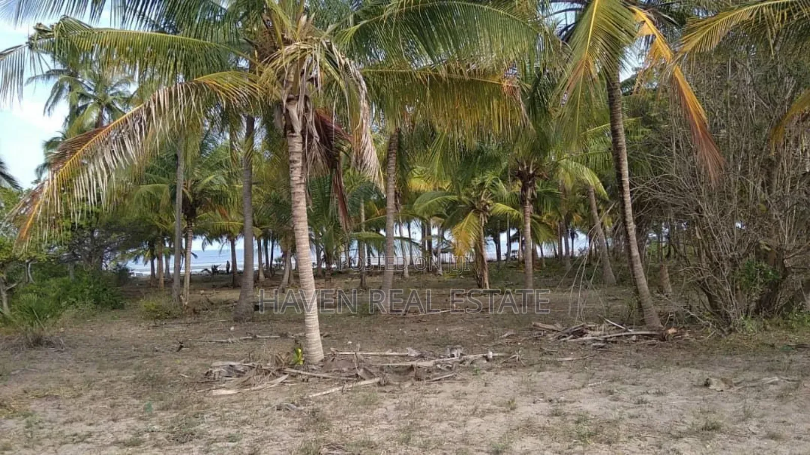Beach Plot Ya Ekari 40 Inauzwa Mkwaja - Pangani, Tanga