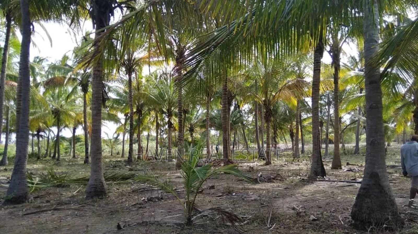 Beach Plot Ya Ekari 40 Inauzwa Mkwaja - Pangani, Tanga