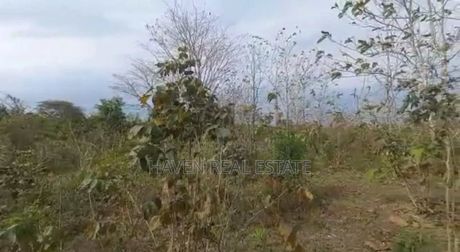 77acres Shamba Linauzwa Miswe Kibaha