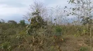 77acres Shamba Linauzwa Miswe Kibaha