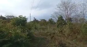 77acres Shamba Linauzwa Miswe Kibaha