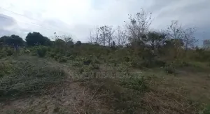 77acres Shamba Linauzwa Miswe Kibaha