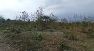 77acres Shamba Linauzwa Miswe Kibaha