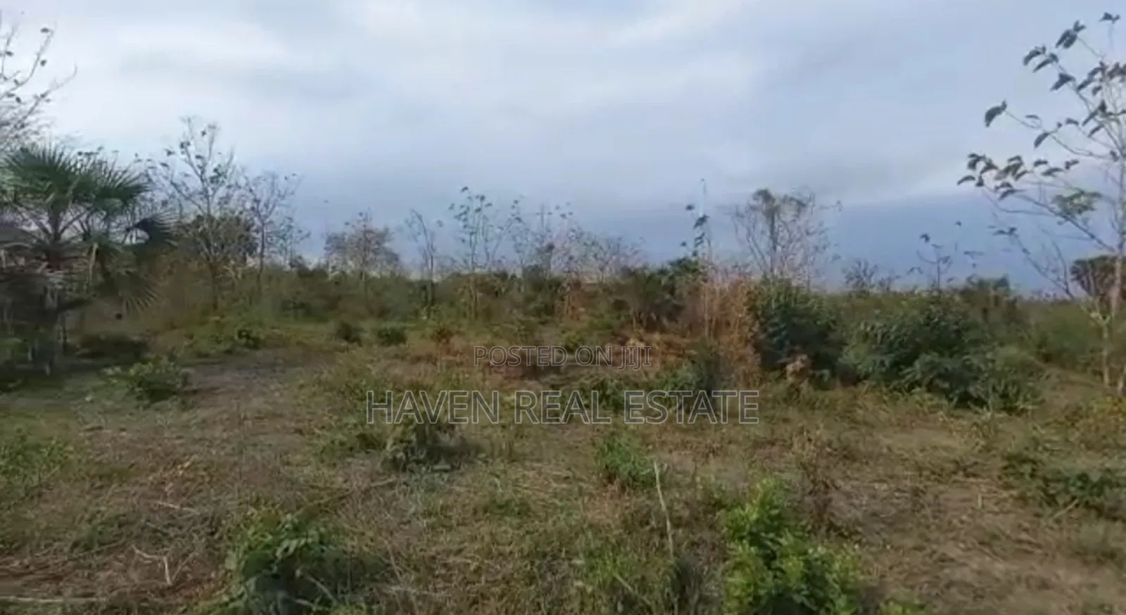 77acres Shamba Linauzwa Miswe Kibaha