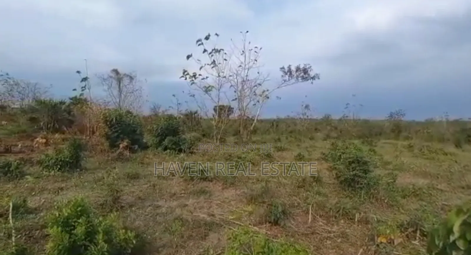 77acres Shamba Linauzwa Miswe Kibaha