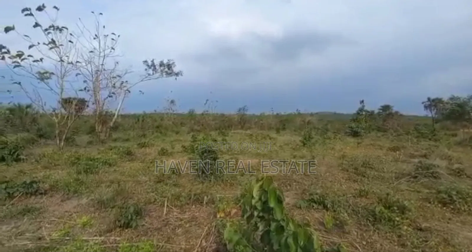 77acres Shamba Linauzwa Miswe Kibaha