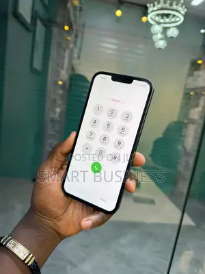 New Apple iPhone 13 Pro Max 256 GB Blue
