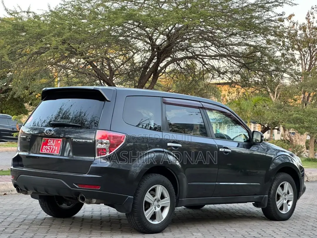 Subaru Forester 2012 Gray