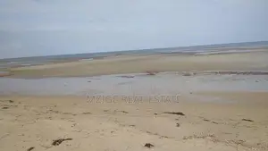 40 Acres Prime Beachfront for Sale in Mkwaja - Pangani,Tanga