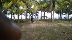 40 Acres Prime Beachfront for Sale in Mkwaja - Pangani,Tanga