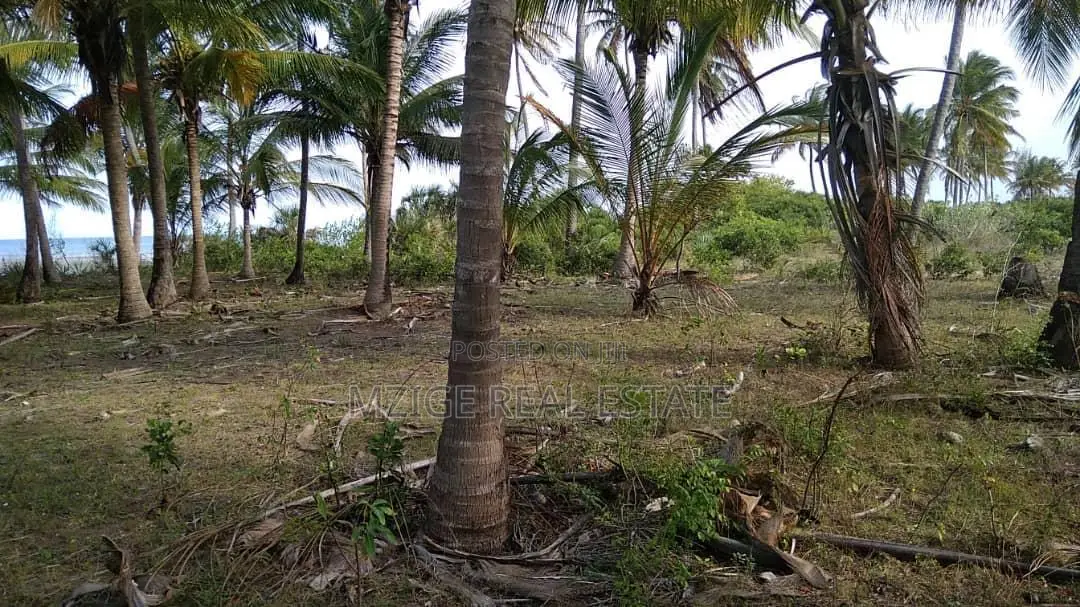 40 Acres Prime Beachfront for Sale in Mkwaja - Pangani,Tanga