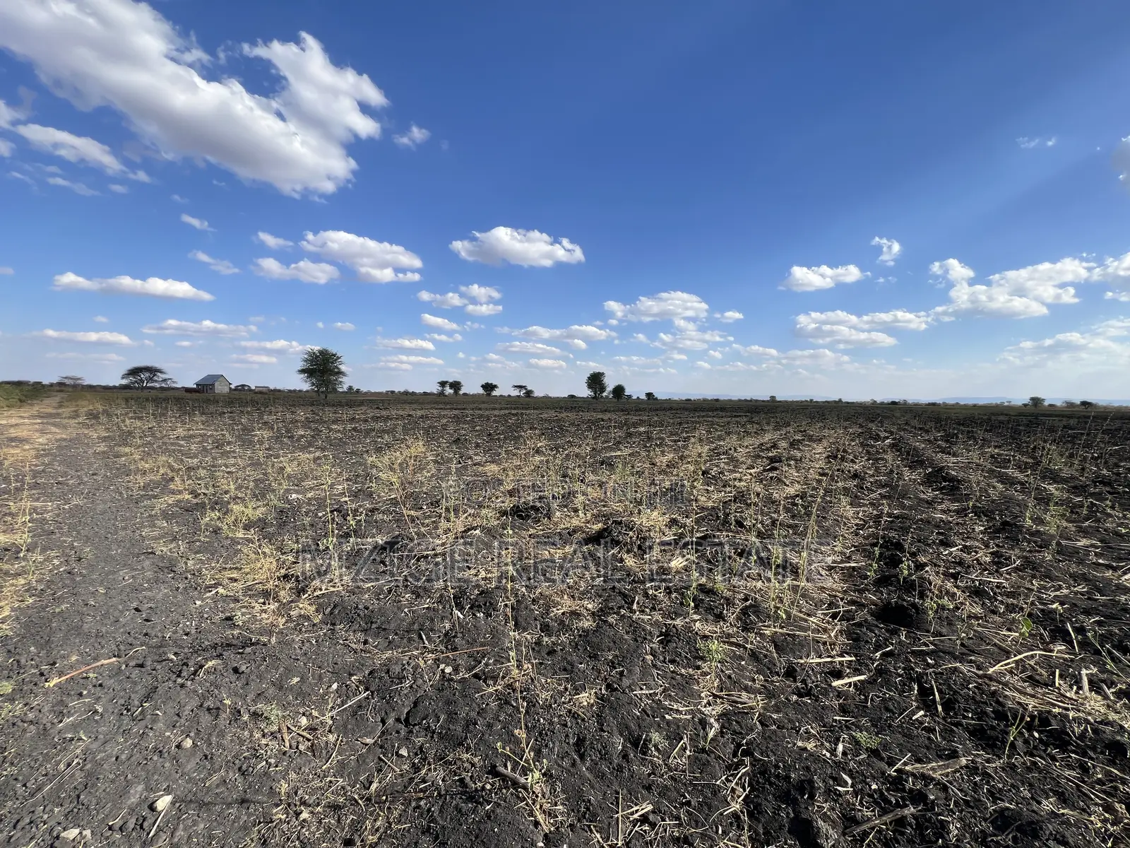 Shamba La Ekari 121.7 Linauzwa Galapo Kijiji Cha Endadoshi-Manyara