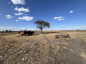 Shamba La Ekari 121.7 Linauzwa Galapo Kijiji Cha Endadoshi-Manyara