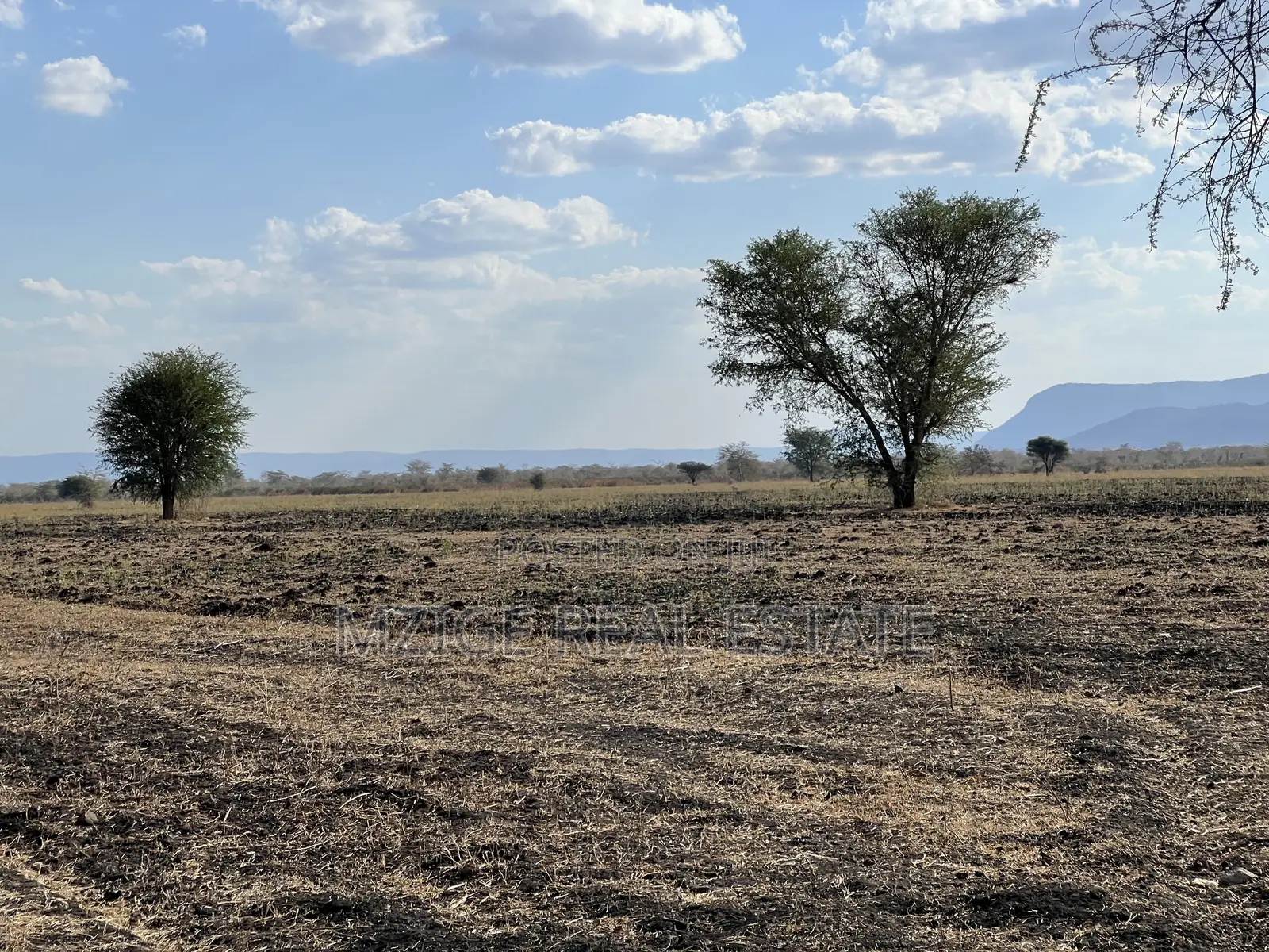 Shamba La Ekari 121.7 Linauzwa Galapo Kijiji Cha Endadoshi-Manyara