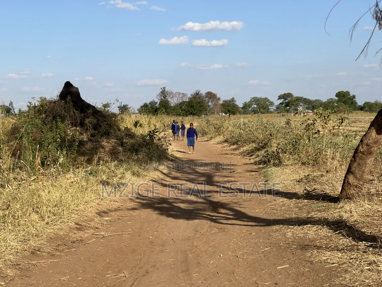 Shamba La Ekari 121.7 Linauzwa Galapo Kijiji Cha Endadoshi-Manyara