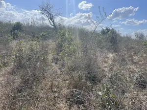 Shamba Linauzwa Kiwangwa Bago