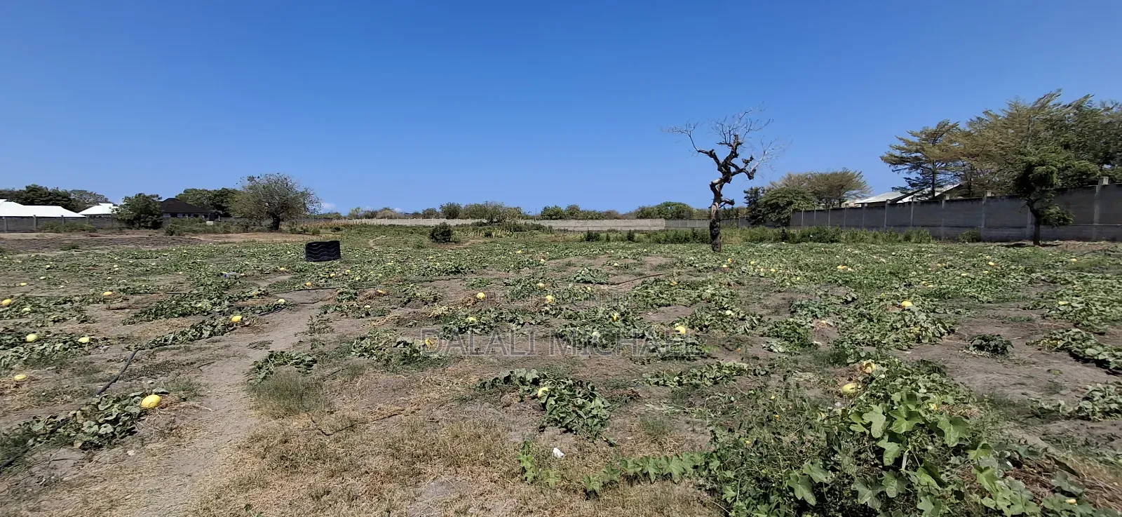 Property for Sale Mbweni
