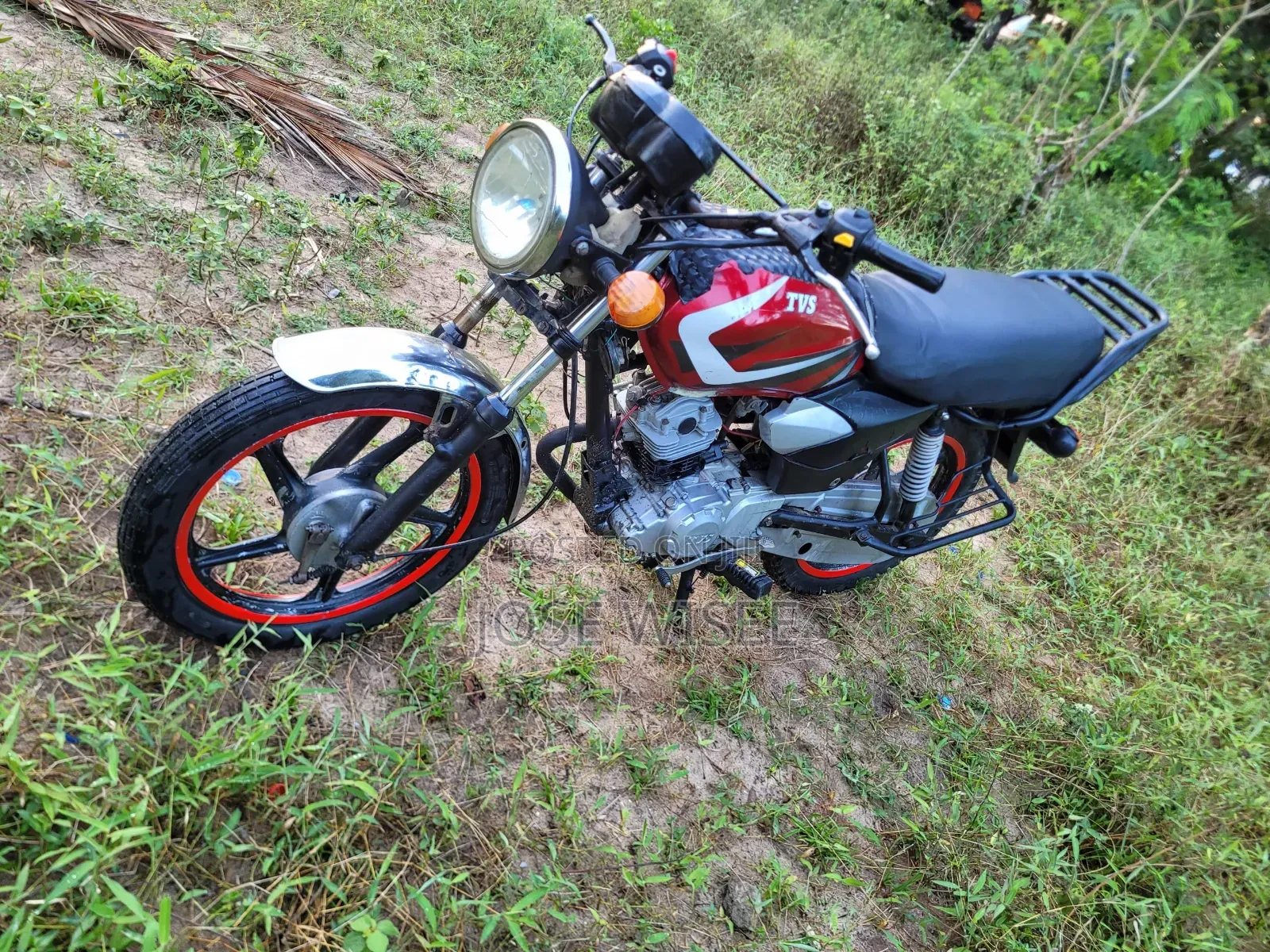 TVS HLX 125 2024 Red