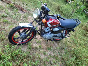 TVS HLX 125 2024 Red