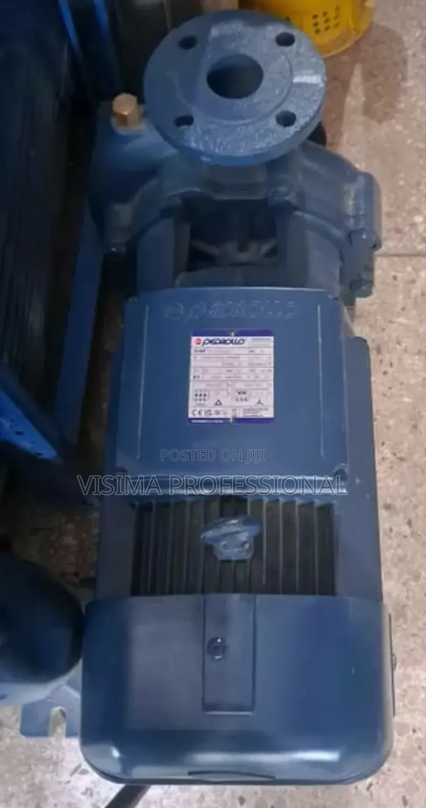 2hp Surface Pump Pedrollo