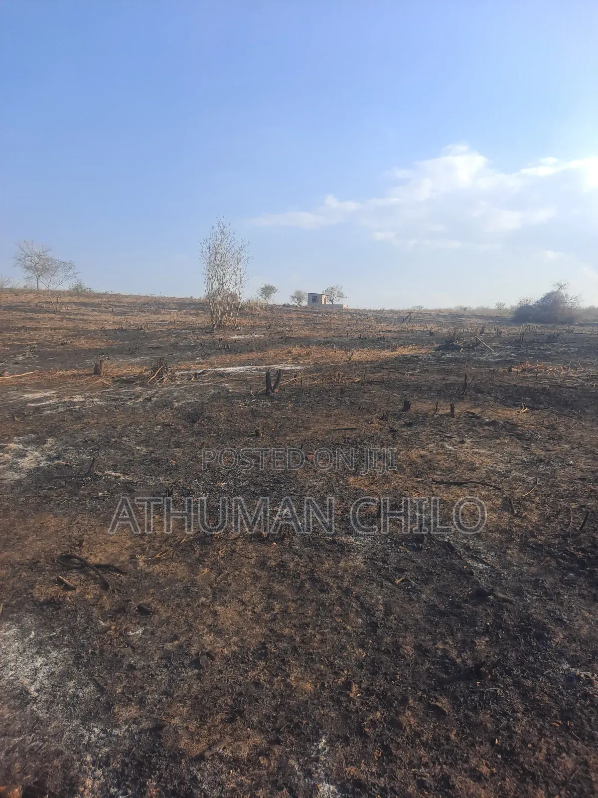 Shamba Linauzwa Kiwangwa Bagamoyo Pwani Bei Sh Laki Tisa