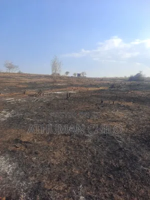 Shamba Linauzwa Kiwangwa Bagamoyo Pwani Bei Sh Laki Tisa