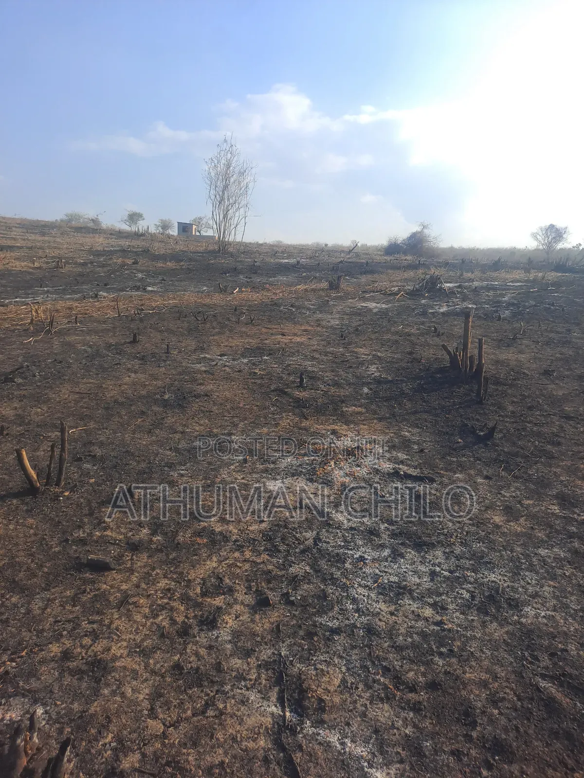 Shamba Linauzwa Kiwangwa Bagamoyo Pwani Bei Sh Laki Tisa