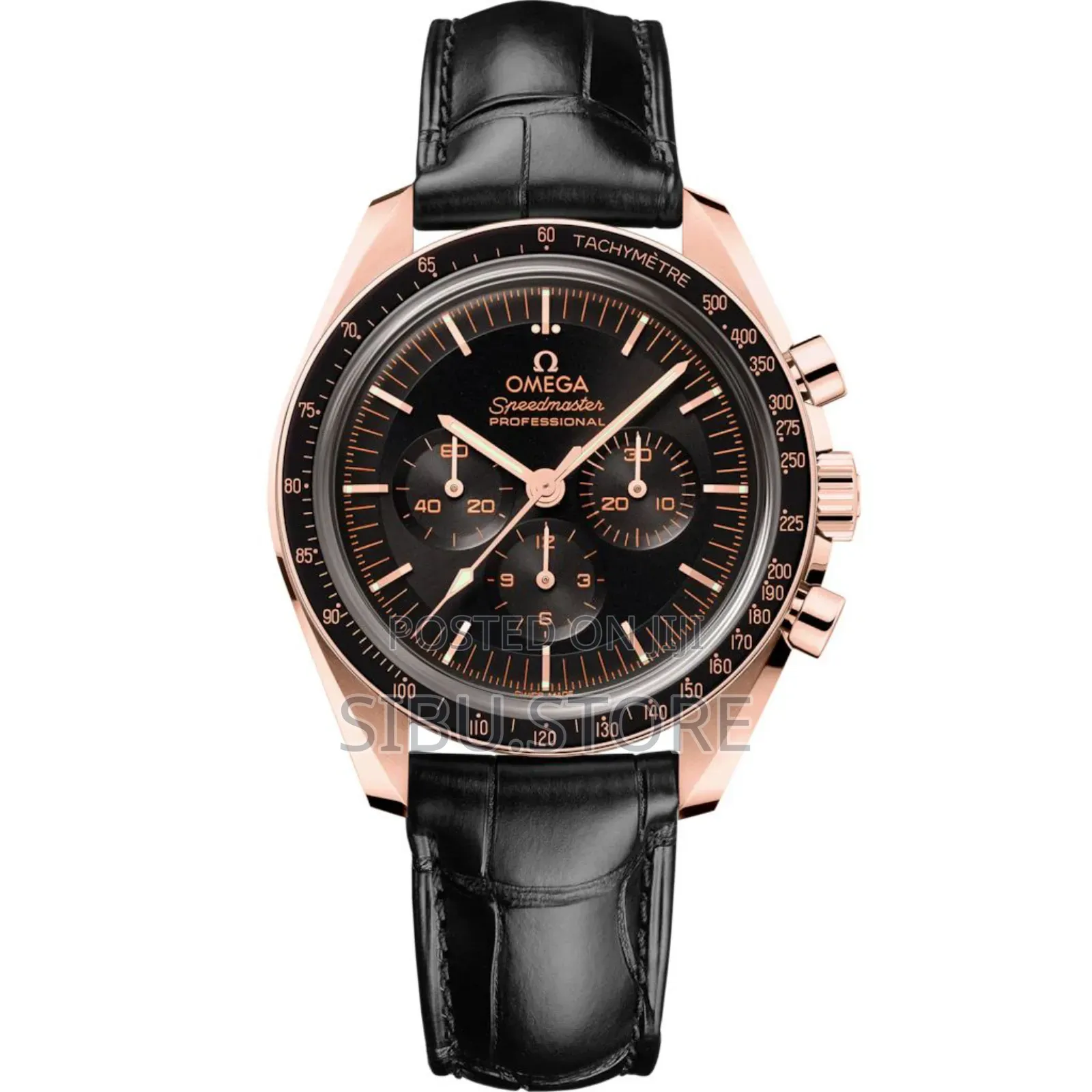 Speedmaster Professional Watch