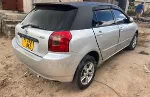 Toyota Allex 2004 Silver