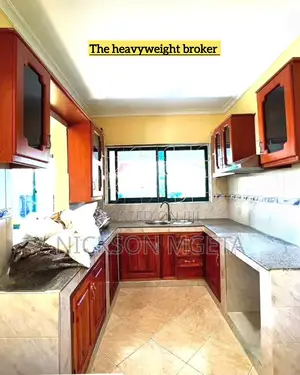 2bdrm Apartment in Dalali Nick Mwanza, Kitangiri for rent