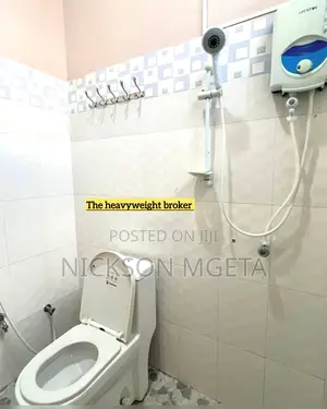 2bdrm Apartment in Dalali Nick Mwanza, Igoma for rent