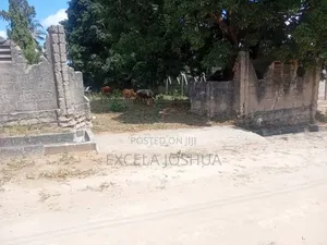 Kiwanja Kinauzwa Na Bank Na Mwenyewe Ameridhi, Kiko Bunju B