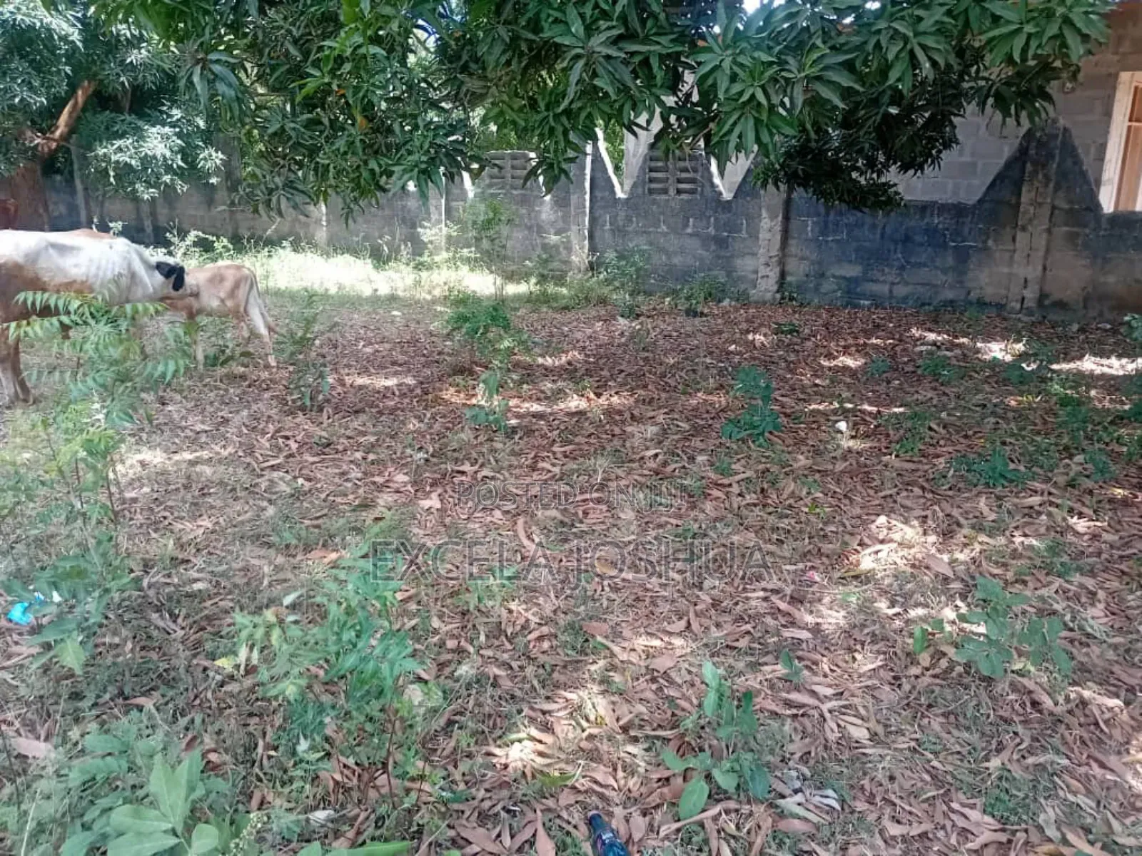 Kiwanja Kinauzwa Na Bank Na Mwenyewe Ameridhi, Kiko Bunju B