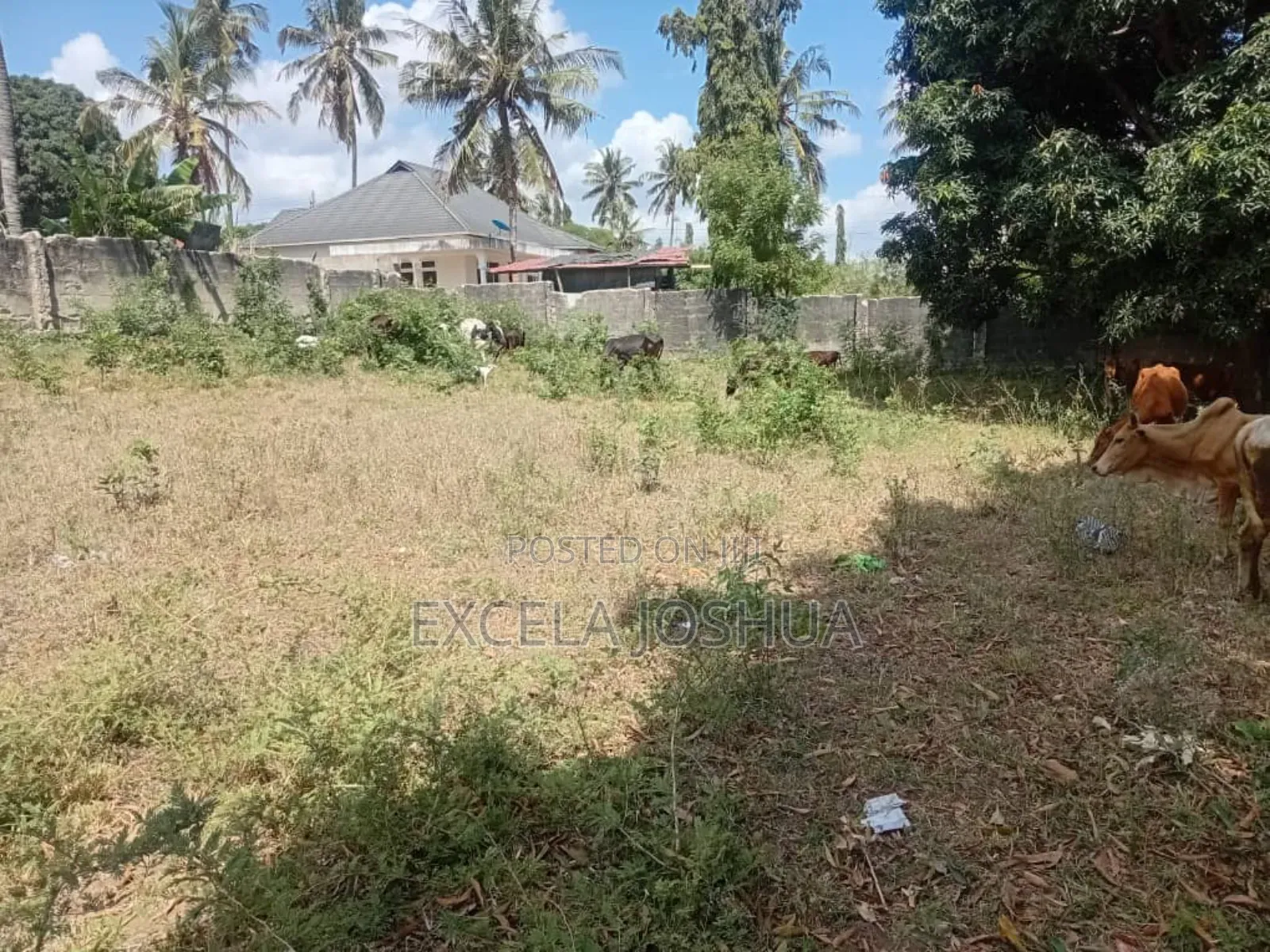 Kiwanja Kinauzwa Na Bank Na Mwenyewe Ameridhi, Kiko Bunju B