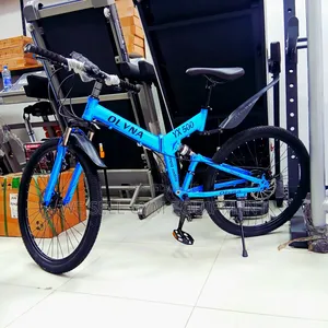 Foldable Mountain Bike