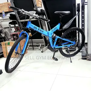 Foldable Mountain Bike