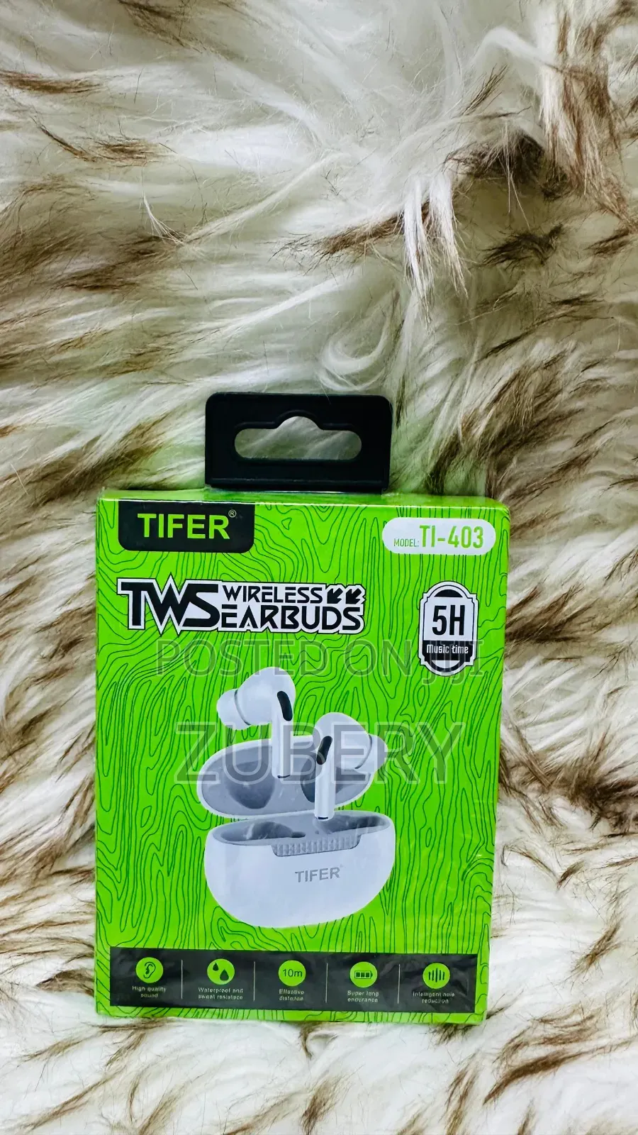 Earpods Model