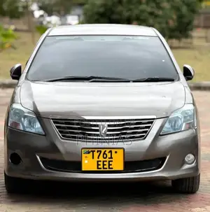 Toyota Premio 2009 Gray
